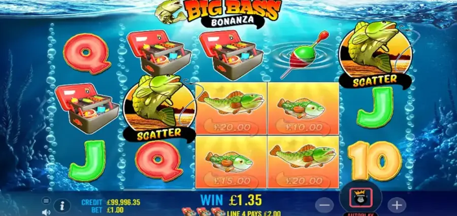 Big bass app review
